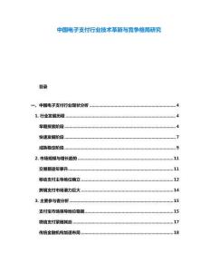 中國電子支付行業(yè)技術(shù)革新與競爭格局研究