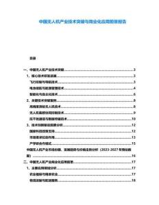 中國(guó)無(wú)人機(jī)產(chǎn)業(yè)技術(shù)突破與商業(yè)化應(yīng)用前景報(bào)告