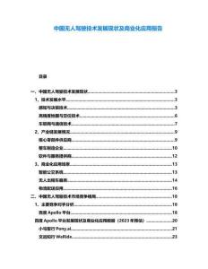 中國無人駕駛技術(shù)發(fā)展現(xiàn)狀及商業(yè)化應(yīng)用報告