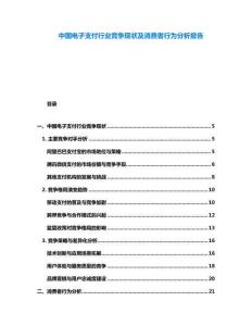 中國電子支付行業(yè)競爭現(xiàn)狀及消費者行為分析報告