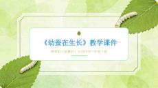 2025-2026學(xué)年教科版（新教材）小學(xué)科學(xué)三年級下冊《幼蠶在生長》教學(xué)課件