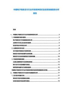 中國電子商務(wù)支付行業(yè)市場競爭現(xiàn)狀及投資發(fā)展趨勢分析報告