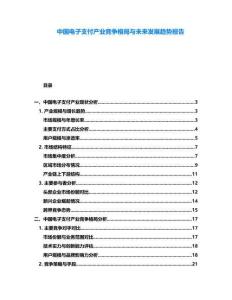 中國電子支付產(chǎn)業(yè)競爭格局與未來發(fā)展趨勢報告