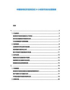 中國夜間經濟活躍區域24小時投幣洗衣運營數據