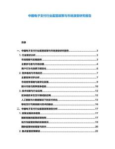 中國電子支付行業監管政策與市場演變研究報告