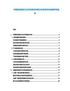 中國安防監控行業市場現狀供需分析投資評估發展研究報告