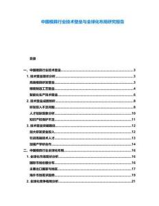中國模具行業(yè)技術(shù)壁壘與全球化布局研究報告