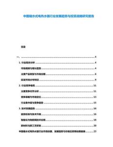 中國儲水式電熱水器行業(yè)發(fā)展趨勢與投資戰(zhàn)略研究報告