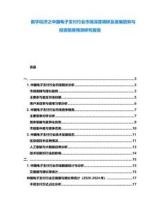數字經濟之中國電子支付行業市場深度調研及發展趨勢與投資前景預測研究報告