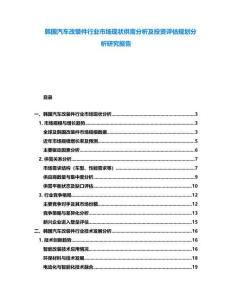 韓國(guó)汽車改裝件行業(yè)市場(chǎng)現(xiàn)狀供需分析及投資評(píng)估規(guī)劃分析研究報(bào)告