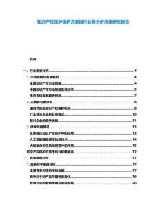 知識產(chǎn)權(quán)保護保護方案操作業(yè)務分析法律研究報告