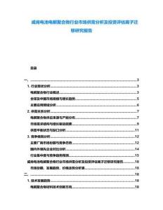 威肯電池電解聚合物行業(yè)市場供需分析及投資評估離子遷移研究報告