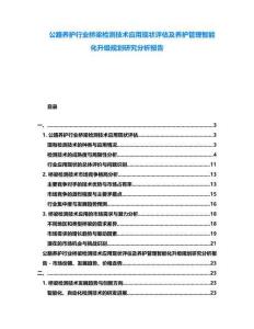 公路養(yǎng)護(hù)行業(yè)橋梁檢測技術(shù)應(yīng)用現(xiàn)狀評估及養(yǎng)護(hù)管理智能化升級規(guī)劃研究分析報告