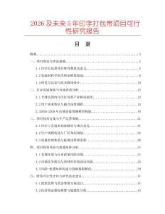 2026及未來5年印字打包帶項目可行性研究報告