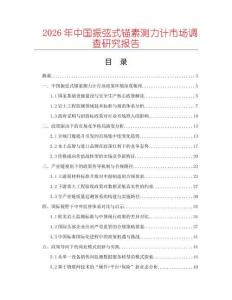 2026年中國振弦式錨素測力計市場調查研究報告