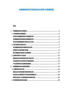 中國儲(chǔ)能電池市場初創(chuàng)企業(yè)競爭與發(fā)展策略