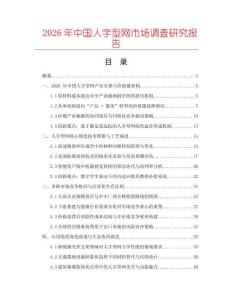 2026年中國人字型網市場調查研究報告