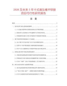 2026及未來5年卡式液壓緩沖鉸鏈項(xiàng)目可行性研究報(bào)告