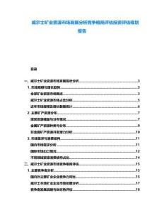 威爾士礦業(yè)資源市場發(fā)展分析競爭格局評估投資評估規(guī)劃報告