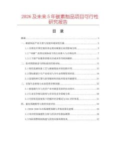 2026及未來(lái)5年碳素制品項(xiàng)目可行性研究報(bào)告