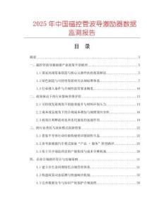 2025年中國磁控管波導激勵器數(shù)據(jù)監(jiān)測報告