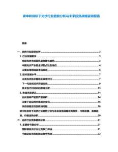碳中和目標下光伏行業趨勢分析與未來投資戰略咨詢報告