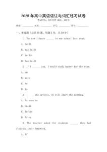 2025年高中英語語法與詞匯練習(xí)試卷