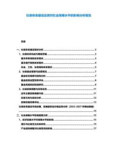 社保體系建設(shè)及其對社會保障水平的影響分析報告