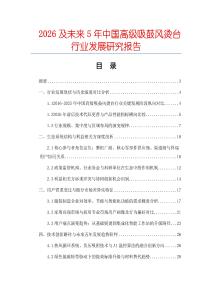 2026及未來5年中國高級吸鼓風燙臺行業發展研究報告