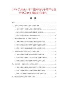 2026及未來5年中國雙鉤電子吊秤市場分析及競爭策略研究報告