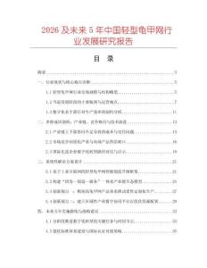 2026及未來5年中國輕型龜甲網行業發展研究報告