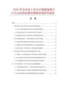 2026年及未來5年內中國暗室拷貝片行業投資前景及策略咨詢研究報告