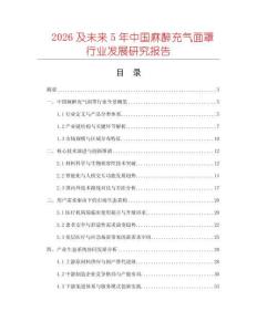 2026及未來5年中國麻醉充氣面罩行業發展研究報告