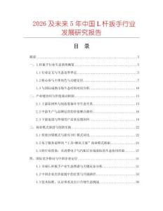 2026及未來5年中國Ｌ桿扳手行業發展研究報告