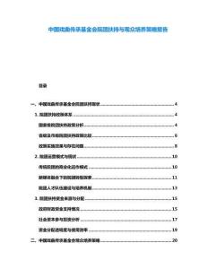 中國戲曲傳承基金會院團扶持與觀眾培養策略報告