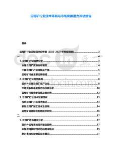 云母礦行業(yè)技術(shù)革新與市場發(fā)展?jié)摿υu估報(bào)告