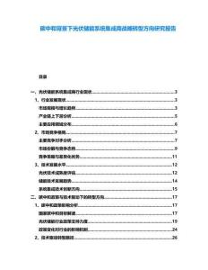 碳中和背景下光伏儲能系統(tǒng)集成商戰(zhàn)略轉(zhuǎn)型方向研究報告