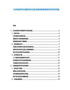 社交電商平臺商家評價泛濫治理消費者信譽評價體系構(gòu)建
