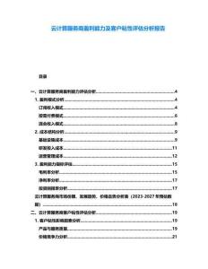 云計(jì)算服務(wù)商盈利能力及客戶粘性評(píng)估分析報(bào)告