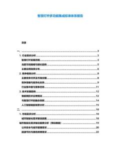智慧燈桿多功能集成標準體系報告