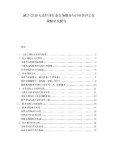 2025-2030人造纖維行業市場細分與目標客戶定位策略研究報告
