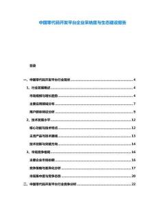 中國零代碼開發平臺企業采納度與生態建設報告