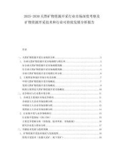 2025-2030天然礦物資源開采行業市場深度考察及礦物資源開采技術和行業可持續發展分析報告