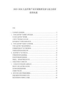 2025-2030人造纖維產業區域集群發展與地方政府投資機遇