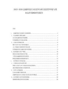 2025-2030金融科技行業(yè)競爭分析及監(jiān)管環(huán)境與資本運作策略研究報告
