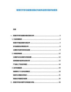 智慧燈桿多功能整合模式與城市運營價值評估報告