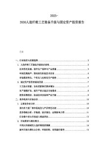 2025-2030人造纖維工藝裝備升級與固定資產投資報告