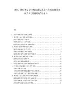 2025-2030數字孿生城市建設進度與市政管理效率提升專項債投資價值報告