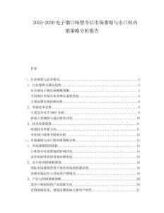 2025-2030電子煙口味禁令后市場萎縮與出口轉內銷策略分析報告