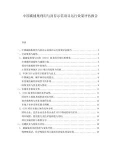 中國碳捕集利用與封存示范項目運行效果評估報告